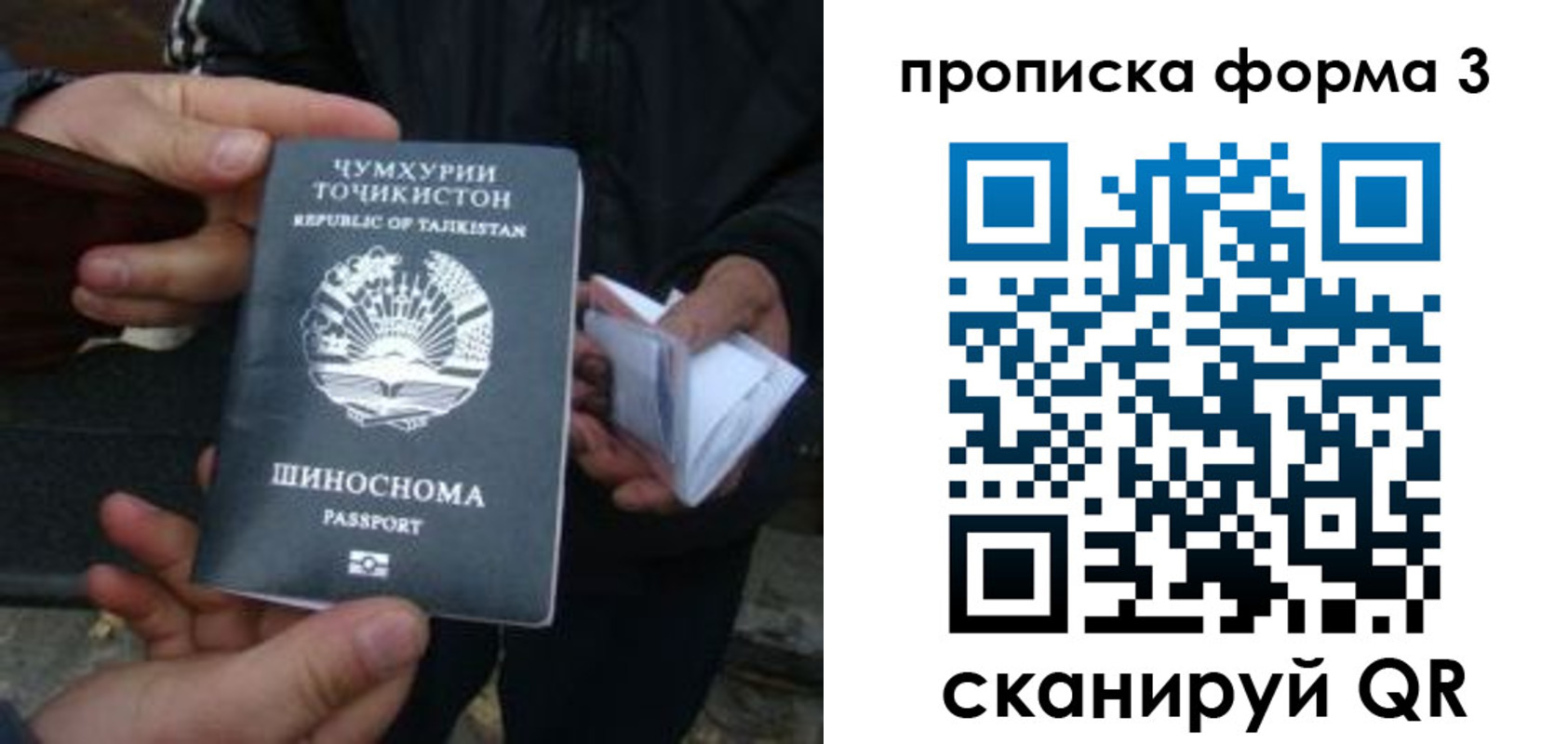 прописка 2025 в Камешково